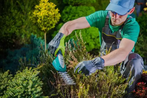 landscaping services Bogue Chitto